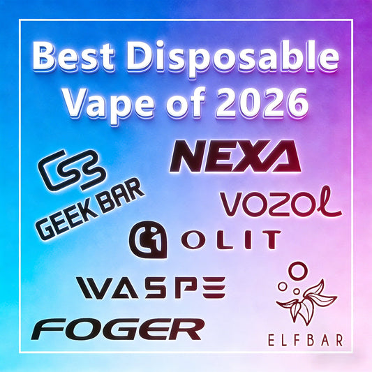 The Guide: Best Dispoable Vape of 2026