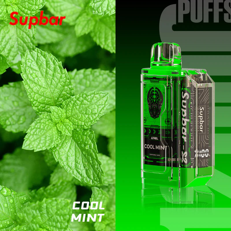 SupBar 10000Puffs Disposable Vape Wholesale