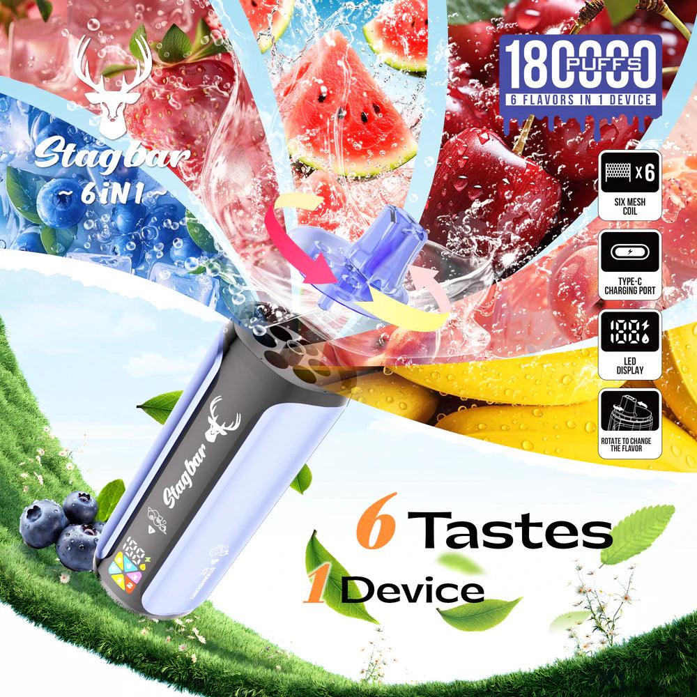 EU Warehouse Stagbar 6 IN 1 180K Puffs Disposable Vape Wholesale - [VapzVape]