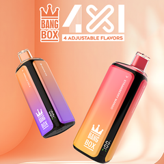 BANGBOX 4 IN 1 160 Puffs Disposable Vape Wholesale - [VapzVape]