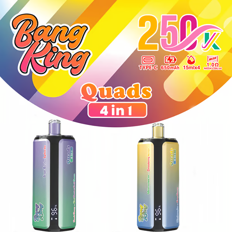 BANG KING 4 IN 1 250K  Puffs Disposable Vape Wholesale - [VapzVape]