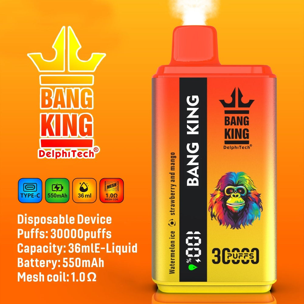 EU Warehouse BANG KING 30000Puffs DisposableVape Wholesale - [VapzVape]