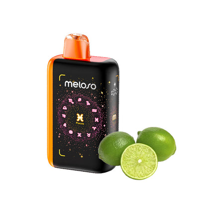 Geek Bar Meloso Bar 30000 Puffs Disposable Vape Wholesale