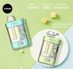 LAVIE VIGOR 15000 Puffs Disposable Vape Wholesale - [VapzVape]