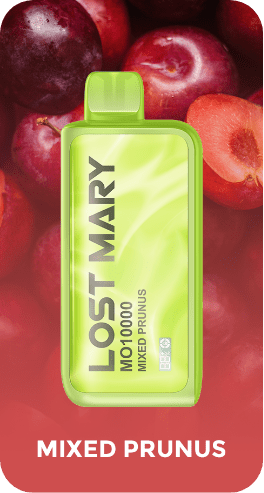 Lost Mary MO10000 Puffs Disposable Vape Wholesale - [VapzVape]