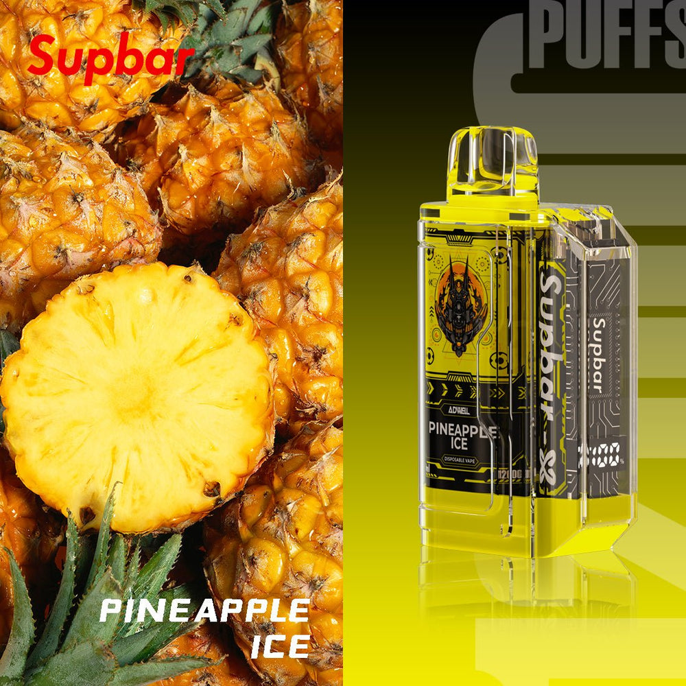 SupBar 10000Puffs Disposable Vape Wholesale - [VapzVape]